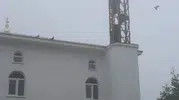 Trabzon'da bir imam minare yıkımını güvercinler için durdurdu
