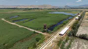 Tokat Kaz Gölü beş yıldır neden kapalı tutuluyor?