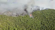 Milas ormanlarında alevlerle büyük mücadele