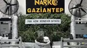 Gaziantep'te iş yeri görünümlü uyuşturucu serası çökertildi