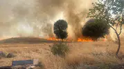Adıyaman’da trafo patlaması ormanı küle çevirdi