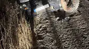 Çınar yolunda otomobil traktöre çarptı