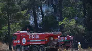 Osmaniye Yarpuz’da orman yangını korkuttu
