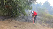 Mudanya zeytinliklerindeki yangın korkuttu