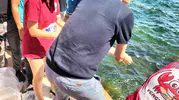 Köyceğiz Gölü’nde balık popülasyonu için yeni adım