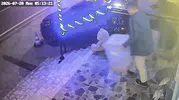 Kocaeli’de petshopun mama kutusunu sabahın köründe çaldılar