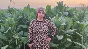 Bismil'de tarlada çalışan genç kadından acı haber geldi