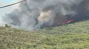 Milas Kazıklı bölgesinde orman yangını paniği