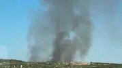 Lice'de ağaçlık alanda çıkan yangın korkuttu