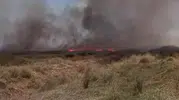 Denizli’de tarlalar yanıyor ekipler rüzgara karşı savaşıyor