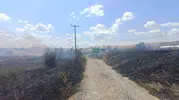 Susurluk yolunda ot yangını paniği