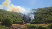 Orhangazi'de makilik alanda dumanlar yükseliyor