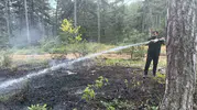 Karabük Eflani’de orman yangını korkusu erken müdahale ile bitti