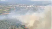 Torbalı ormanlarında yangın paniği yaşanıyor