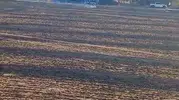 Eskişehir’de bahçe temizliği yangınla bitti