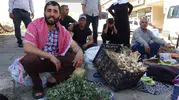 Batmanlıların bahçesindeki doğal hazine semizotu