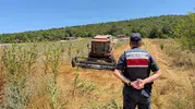 Hasat mevsiminde biçerdövere su tankeri cezası
