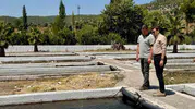 Bozdoğan’da saha mesaisi Kaymakam hem kurumları hem üretimi denetledi