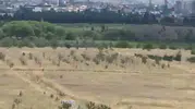 Yenimahalle’deki yangın paniği kontrol altına alındı