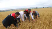 Samsun’da dolu yağışı 40 bin dekar araziyi vurdu