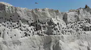 Yozgat'taki şantiye sahası kuşlar için gökdelene dönüştü