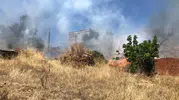 Bodrum Yalıçiftlik'te orman yangını paniği