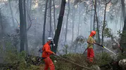 Muğla'daki orman yangınında gönüllü dayanışması
