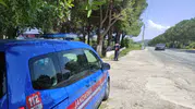 Aydın genelinde aranan 36 suçlu yakalandı