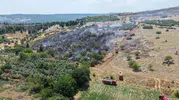 Muğla’daki yangında iki dönüm alan küle döndü