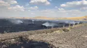 Yozgat'ta hasat vakti büyük yangın paniği