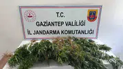 Gaziantep'te uyuşturucu operasyonu 8 kişi yakalandı