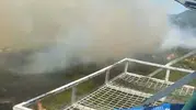 Aydın Kuyucak'ta orman yangını paniği