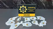 Serdivan merkezli uyuşturucu baskınında bir kişi tutuklandı