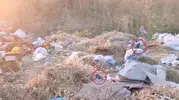 Diyarbakır'da çöp dağları arasında fare istilası yaşanıyor