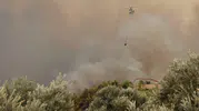 Muğla Seydikemer'de orman yangını paniği
