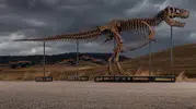 Tarihi T-Rex satışı: 67 milyon yıllık dinozor iskeletine rekor ücret!