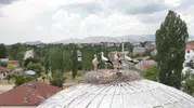 Patnos’un beklediği misafirler aylarca gecikmeli geldi