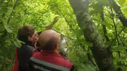 Sinop’ta tarlalara samuray arısı salındı