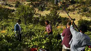 Mersin dev bir film platosuna dönüşüyor