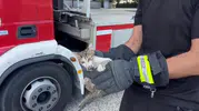 Düzce’de mahsur kalan yavru kedi itfaiye operasyonuyla kurtuldu