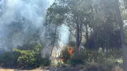 Buca’da hobi bahçesinde kıvılcım 9 dönüm alanı küle çevirdi