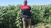 Lüleburgaz'da tarım arazilerinin röntgeni çekiliyor