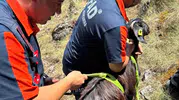 Burdur Bucak'ta mahsur kalan sürüyü AFAD ekipleri kurtardı