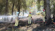 Osmaniye Yarpuz’da orman yangını paniği
