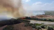Çankırı'da Kızılırmak kıyısında yangın paniği