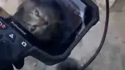 Eskişehirde yavru kedi boruda mahsur kaldı