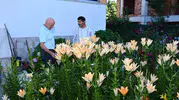 Emekli öğretmen evinin önünü dev bir çiçek bahçesine çevirdi