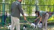 Sınırların yeni dedektör köpekleri eğitimlere başladı
