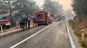 Balıkesir'de orman yangını Ayvalık Bergama yolunu kesti