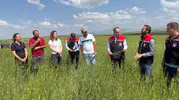 Kars’ta 13 bin yıllık buğday ata tohumuyla yeniden hayat buluyor
